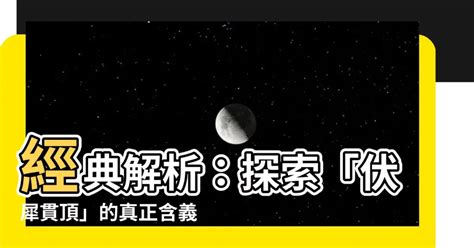 伏犀貫頂|伏犀贯顶的意思